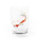 idumi-artの恋する鯉　version 2 Water Glass :right