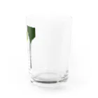 echirのTSURARA Water Glass :right