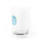 aoamo shopのaoamoマメルリハ Water Glass :right