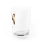 marutoraのhachio猫 Water Glass :right