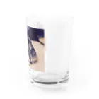 Kawauso-sanの睡眠大事！ Water Glass :right