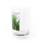 アトリエWindwingのキノコと苔テラリウム Water Glass :right