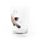 FUGU_GOODSのマスクドパファー Water Glass :right