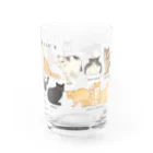 OHAYO CHAHANの男木島猫ずかんグラス Water Glass :right