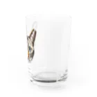 井上アフターバーナーのカイくん Water Glass :right