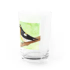 群緑の森（ぐんろくのもり）の新緑のキビタキ Water Glass :right