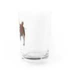 mod_ukのシバくん Water Glass :right