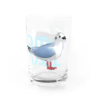 やちよ｜リアル鳥イラストのKAMOMEJYANAI～ズグロカモメさんとウミネコさん～ Water Glass :right