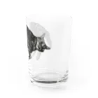 アメショーのひめちゃんのアメショーのひめちゃん⑥ Water Glass :right