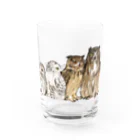 鵄　〜フクロウまみれ〜のせのじゅんフクロウ Water Glass :right