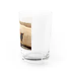 J-GLADSのにくきゅう Water Glass :right