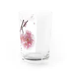 I miss you の河津桜満開 Water Glass :right