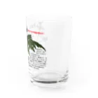 植物の絵師「洋子」の店のセリバヒエンソウ（薬草） Water Glass :right