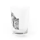 妖怪 水姫城-Yokai.Mizukijyo-ฅ^ơωơ^ฅ♡の#ネコヒメペット 75ฅ^ơωơ^ฅ♡ Water Glass :right