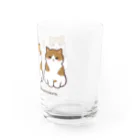 ふわにゃんshopのねこの一日 Water Glass :right