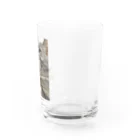 グレージュ猫ロッタン🐈‍⬛の緊張ロッタン Water Glass :right