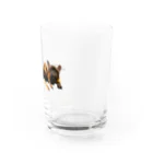 Ru.xxxのトイプードル＆フレンチブルドッグ＆ベンガル Water Glass :right