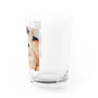 k-mintoの可愛い長毛種のネコちゃんグッズ Water Glass :right