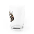 ロムー公式二次創作物販売所の大人気のロムザラシシリーズ グラス右面