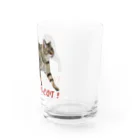 もっち（mocchi）のお散歩キジトラ猫ちゃん！ Water Glass :right