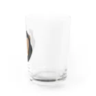 図鑑Tのスズリのチンパンジー Water Glass :right