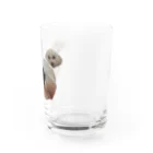 FUJIMARU's × NECODOMOのふじまる Water Glass :right