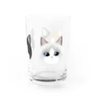 Smauの三毛猫・ハチワレ・ラグドール Water Glass :right