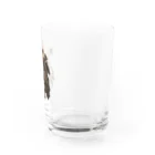 yayasuのキングオブライオン Water Glass :right