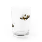 ペチッタぺチットのシーラカンス Water Glass :right