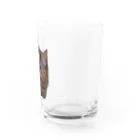 猫ミームグッズの【猫ミーム】叱られる猫 Water Glass :right