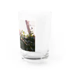 こここのどこかの花 Water Glass :right