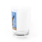 ganeshaの群れの中で他の人と協力しているタカ Water Glass :right