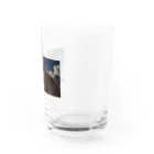 ADOのこちらを見つめる猫 Water Glass :right