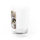 HIROICの近接子猫 Water Glass :right