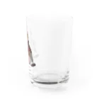 zatto_00のダイエット中の猫 Water Glass :right