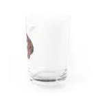 puikkoのオオサンショウウオ Water Glass :right