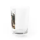 もふもふ日本史の剣もつねこ Water Glass :right