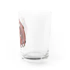 The Grandpaのドランクドラゴン Water Glass :right