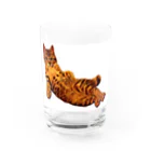 Elegant CatのElegant Cat ③ Water Glass :right