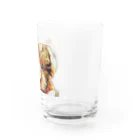 Paloのコハクちゃん Water Glass :right