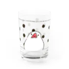 subacoのあの筒文鳥 Water Glass :right