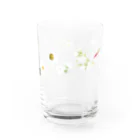 しまのなかまfromIRIOMOTEの西表島の白い花（11種） Water Glass :right