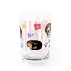 イラストカフェ（ビーグル）のビーグル★ストライプ（ピンク） Water Glass :right