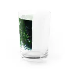 Tesoroの光の葉 Water Glass :right