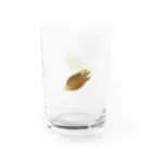 ひよこスタジオ販売部のミョウガx2 Water Glass :right