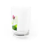 あるくろさんの蓮 Water Glass :right