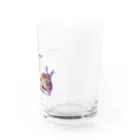 こあらららんどのこっちを見てるカンガルー Water Glass :right