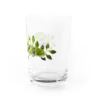 OJIKのクロアゲハイモムシ Water Glass :right