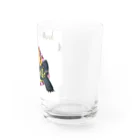 316(MIHIRO)の子亀のクサガメ Water Glass :right