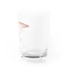 立体工房のホタルイカ Water Glass :right